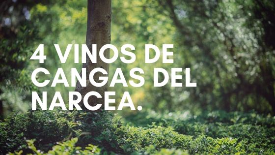 4 vinos de Cangas del Narcea (Asturias)