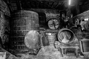 Bodega Vitheras vinos de asturias